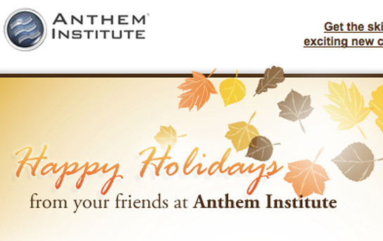 Anthem Institute Email Campaign